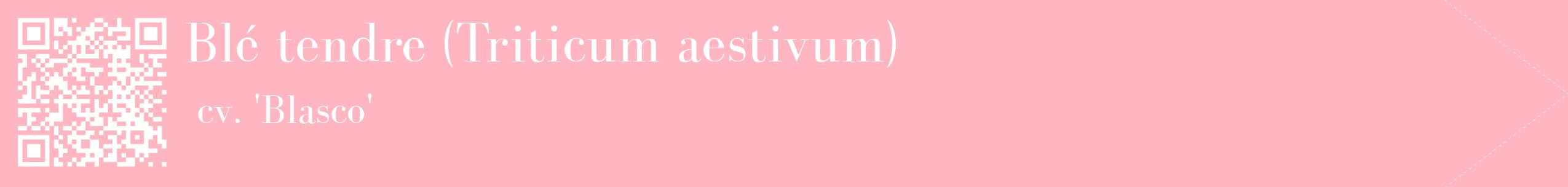 étiquette 2