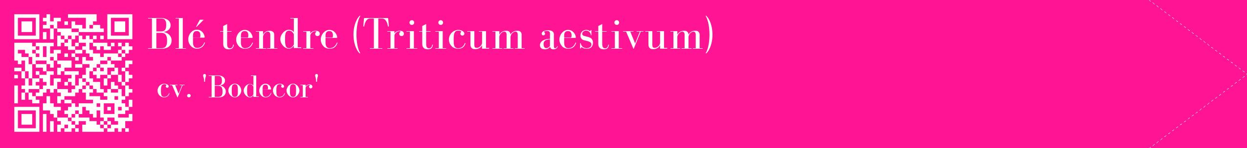 étiquette 2