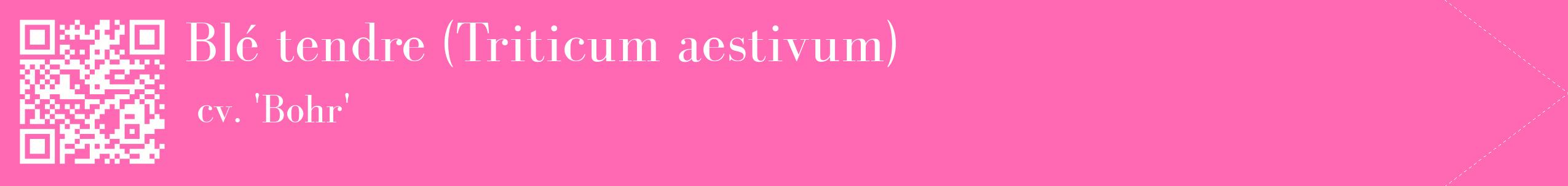 étiquette 2