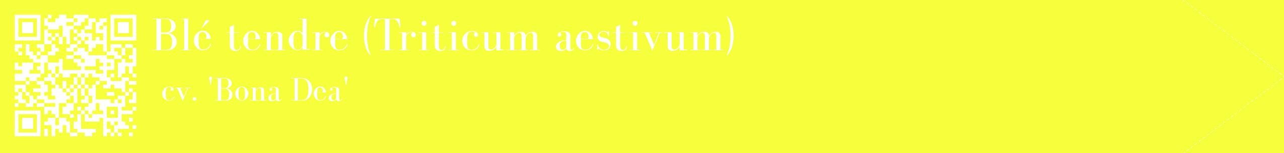 étiquette 2