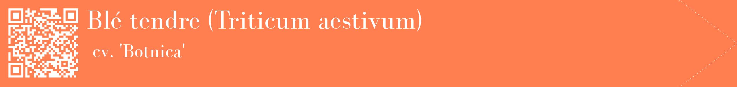 étiquette 2