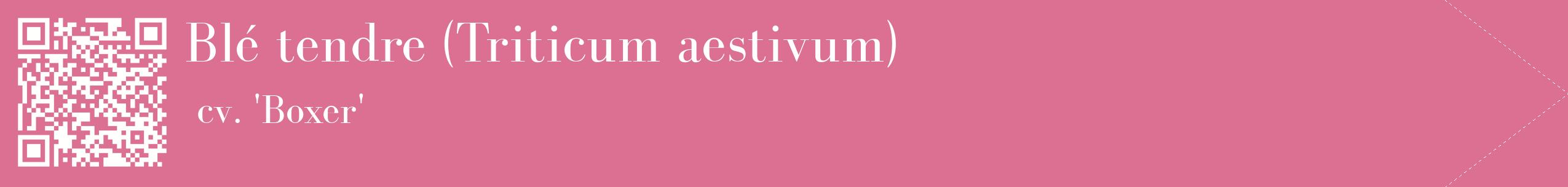 étiquette 2