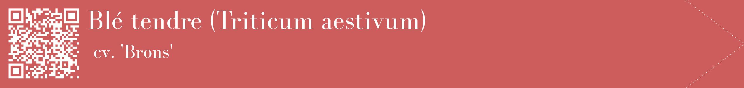 étiquette 2