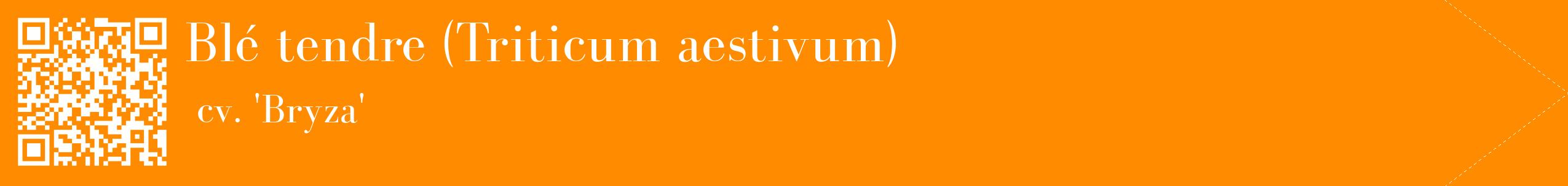 étiquette 2