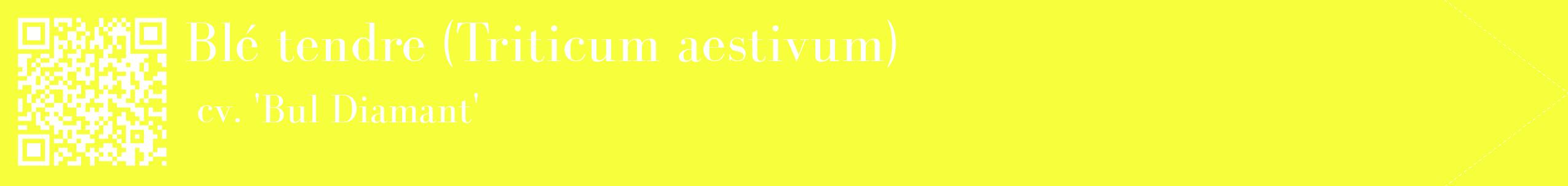 étiquette 2