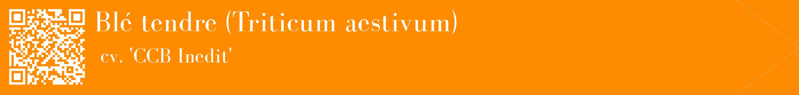 étiquette 2