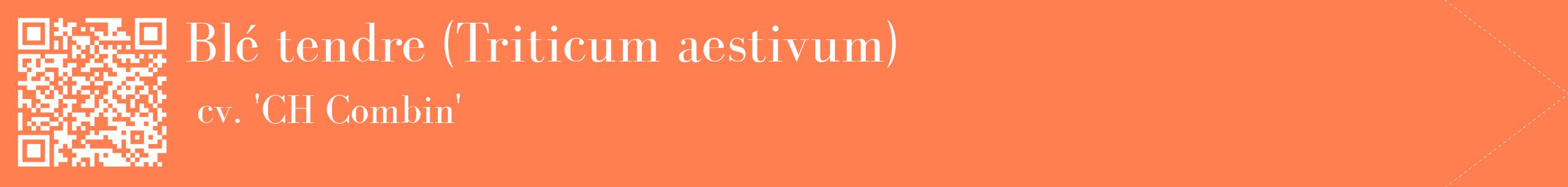 étiquette 2