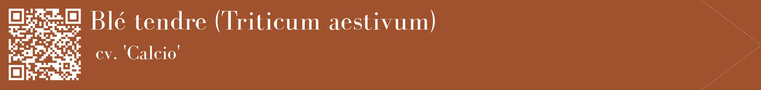 étiquette 2