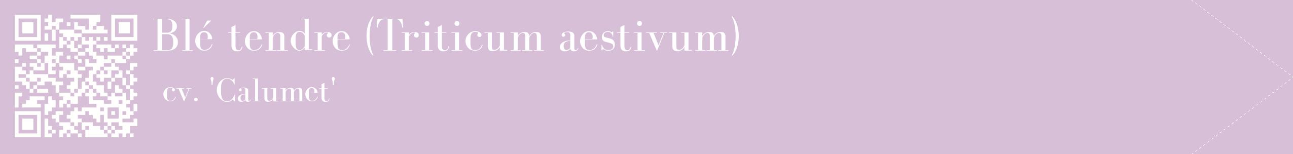 étiquette 2