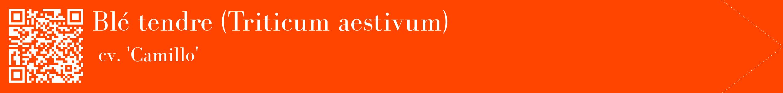étiquette 2
