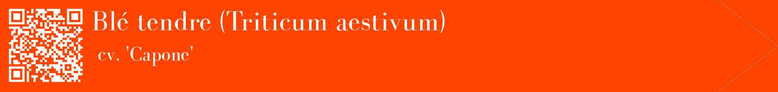 étiquette 2