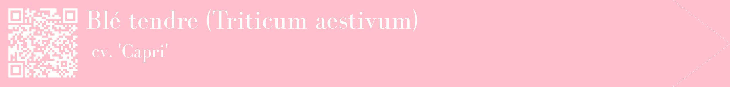 étiquette 2