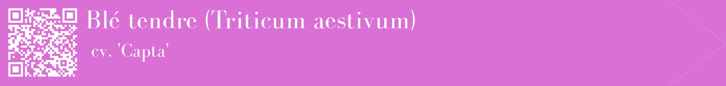 étiquette 2
