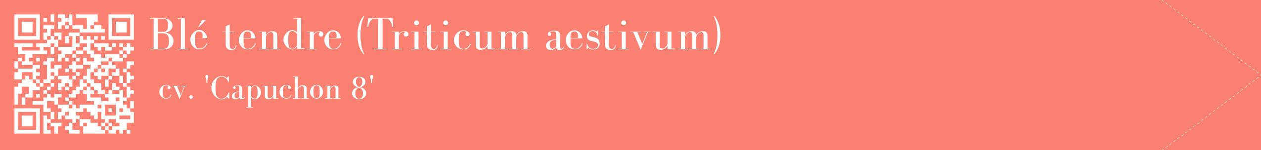 étiquette 2