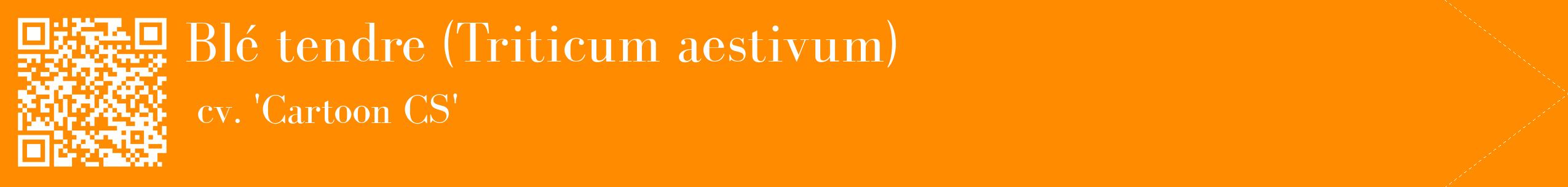 étiquette 2