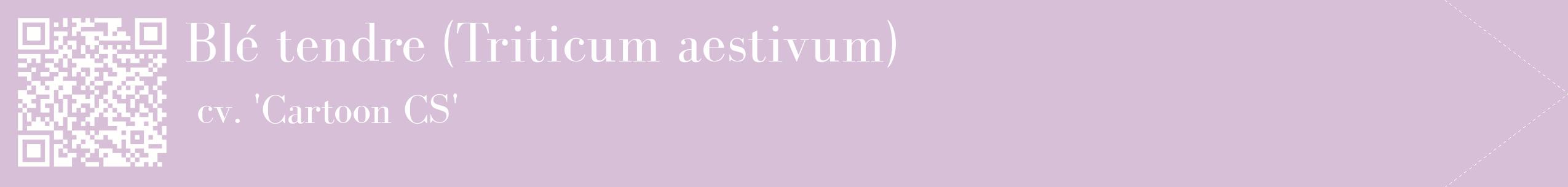 étiquette 2