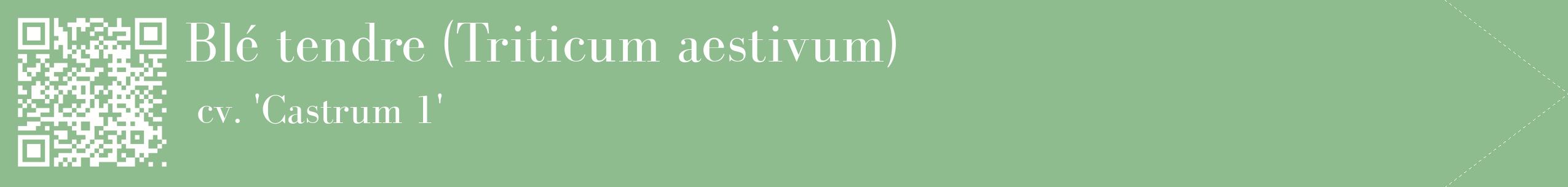 étiquette 2