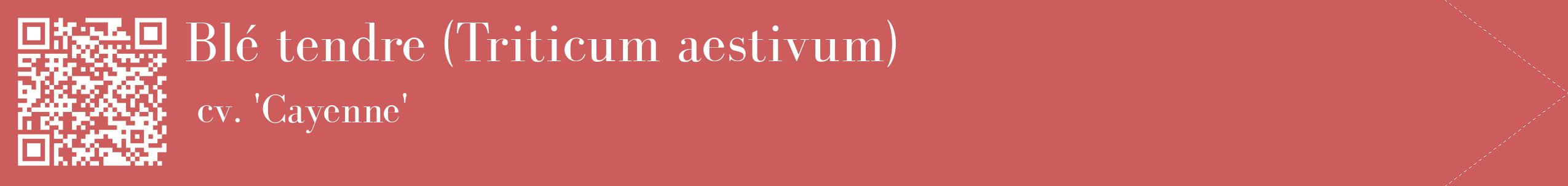 étiquette 2