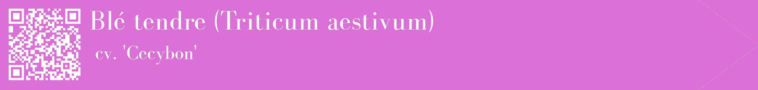étiquette 2