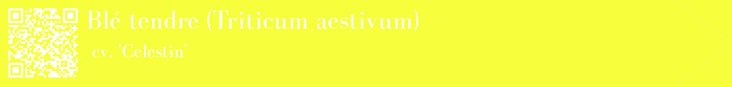 étiquette 2