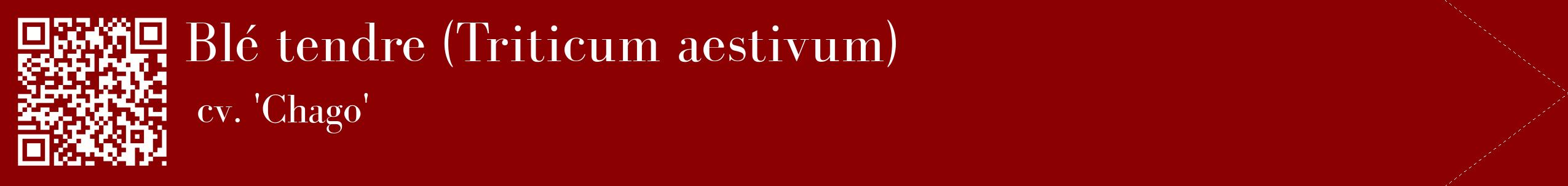étiquette 2