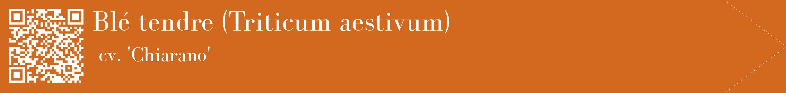 étiquette 2