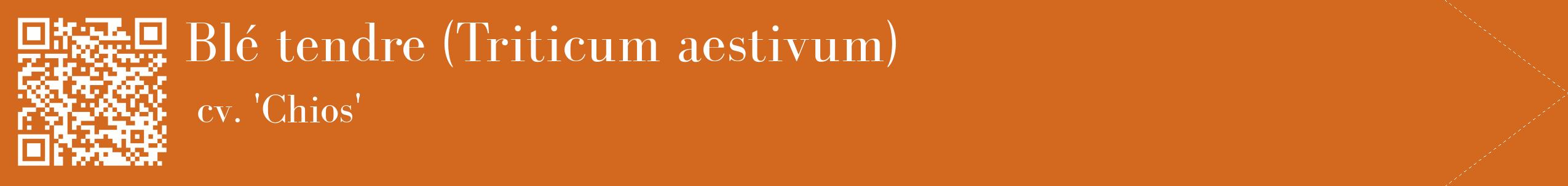 étiquette 2