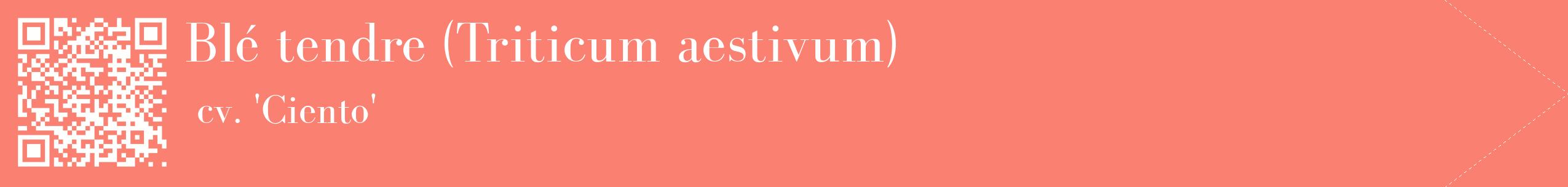 étiquette 2
