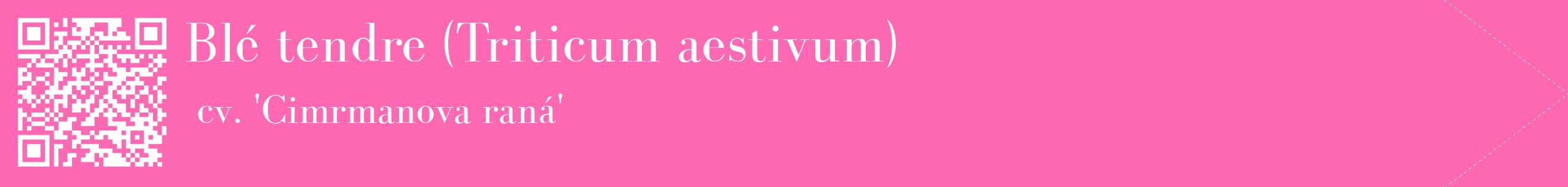 étiquette 2