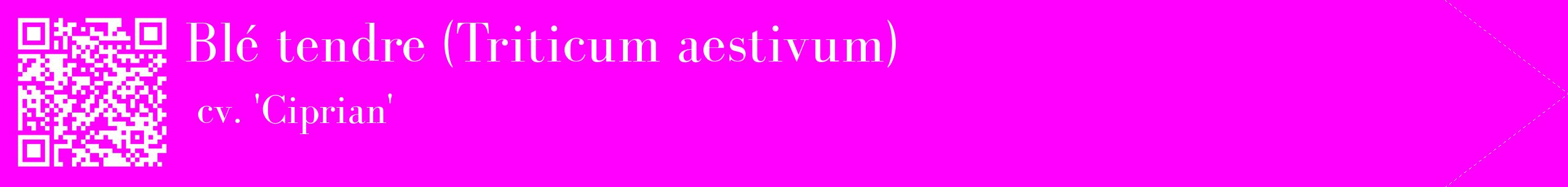 étiquette 2