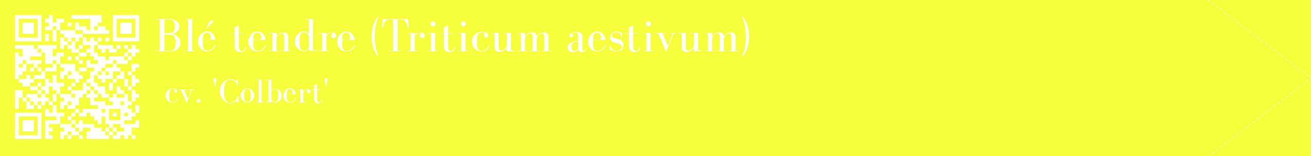 étiquette 2