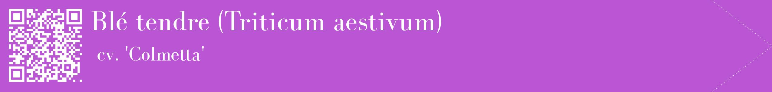 étiquette 2