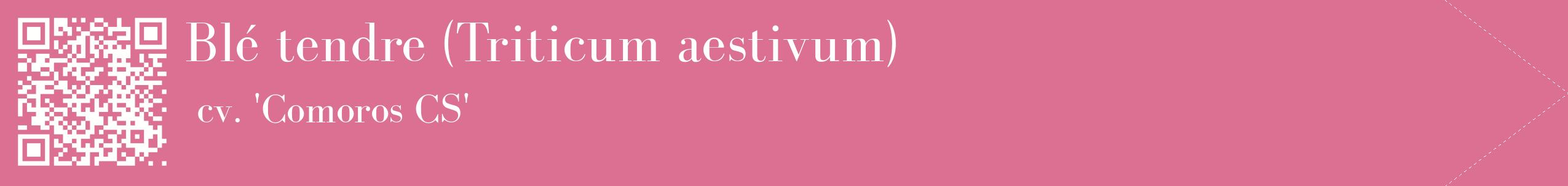 étiquette 2