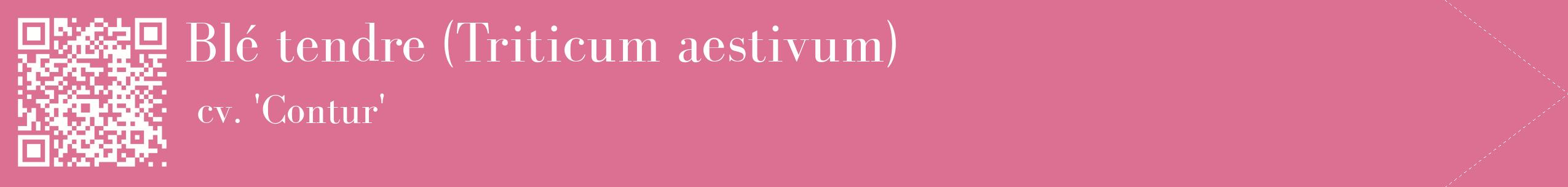 étiquette 2