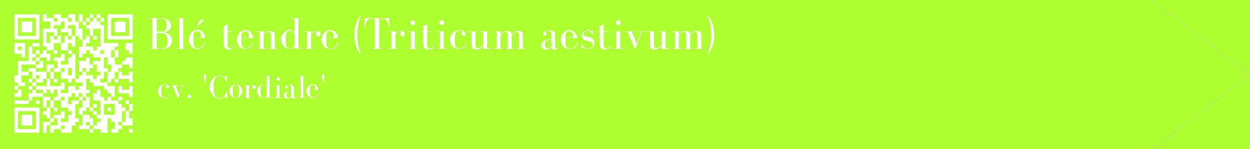 étiquette 2