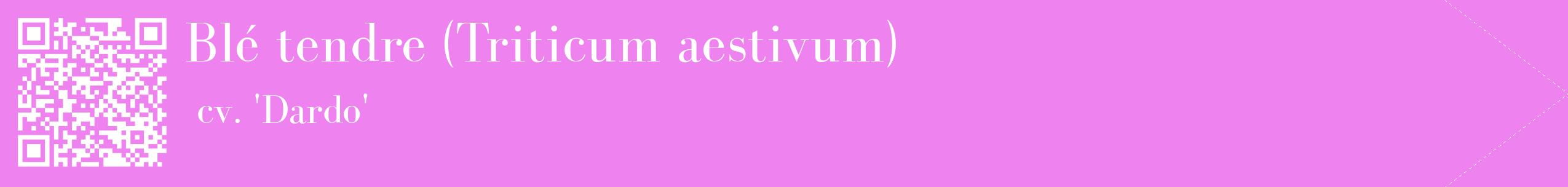 étiquette 2