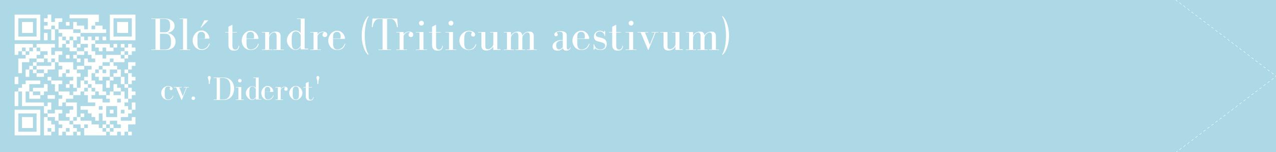 étiquette 2