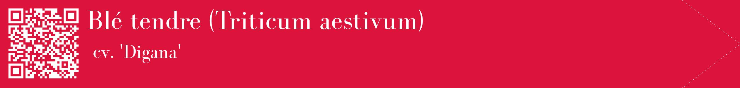 étiquette 2