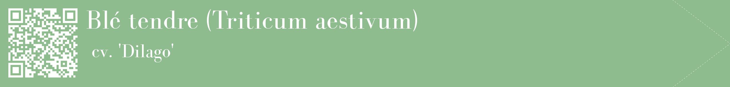 étiquette 2