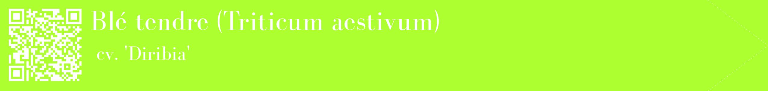étiquette 2