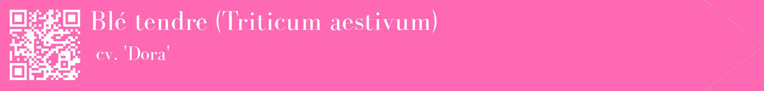 étiquette 2