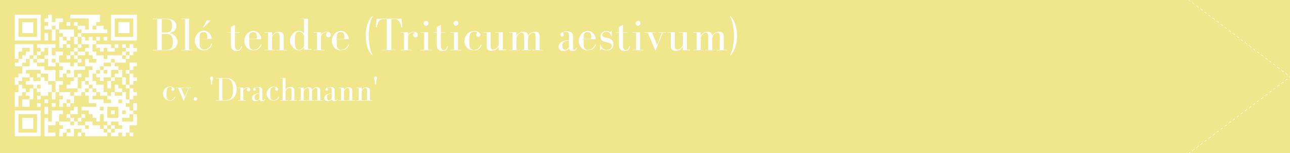 étiquette 2
