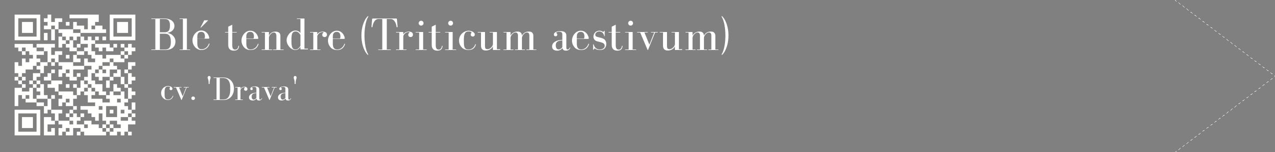étiquette 2