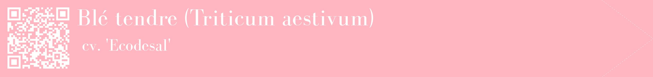 étiquette 2