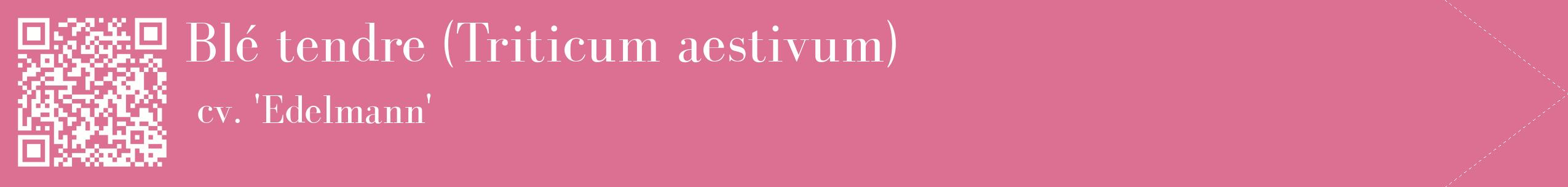 étiquette 2
