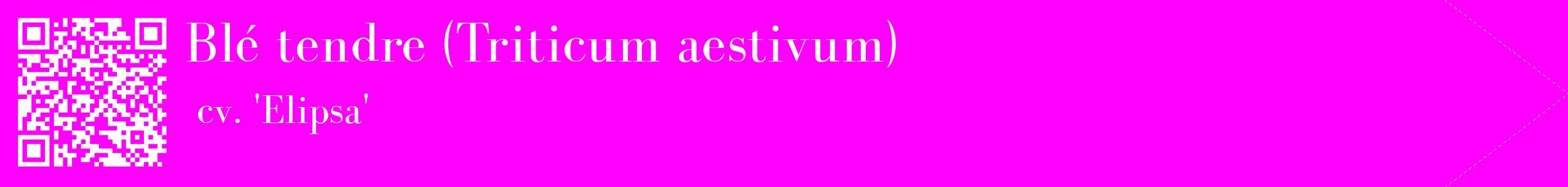 étiquette 2