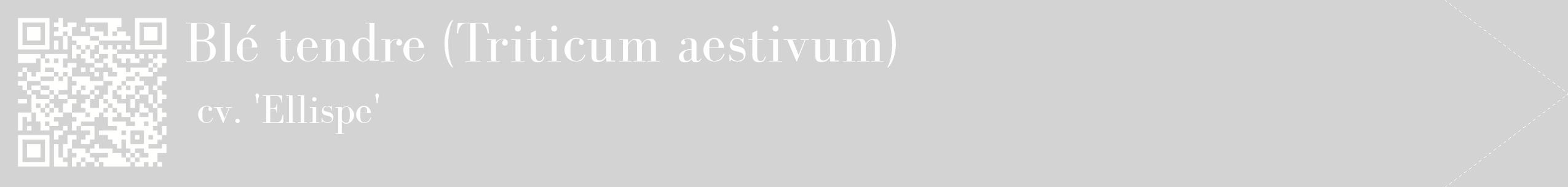 étiquette 2