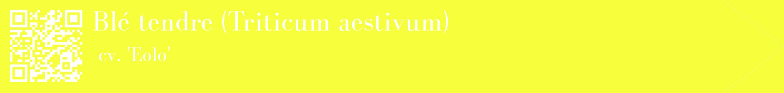 étiquette 2