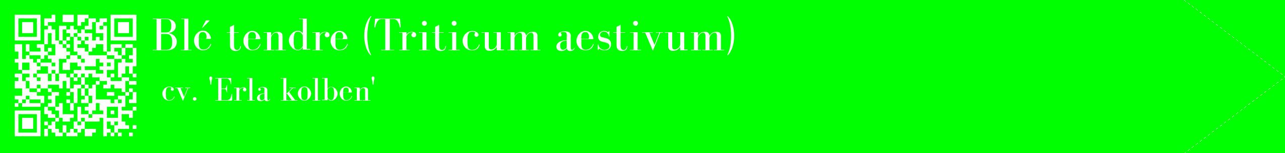 étiquette 2