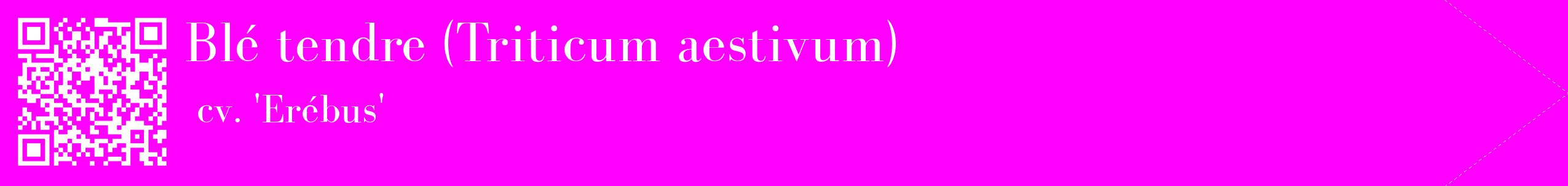 étiquette 2